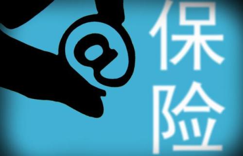 资本闯关，两新险企获批开业，是幸运还是生不逢时？