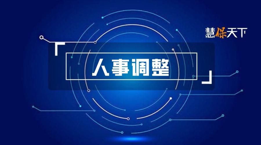 <b>王旭泽任太平人寿临时负责人，半年两度重磅人事更迭后，以分红险为主的负债</b>