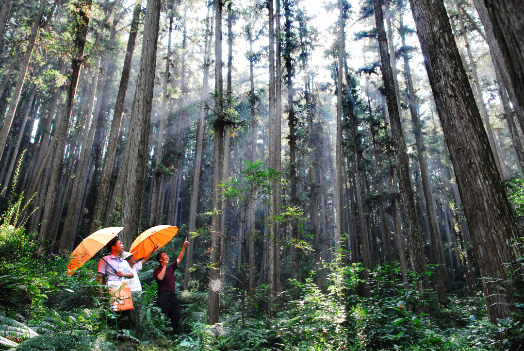 人保财险推出全国首单冶炼行业碳超排费用损失保险，