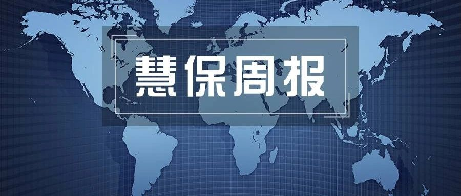 <b>慧保周报（2025年第34周）丨大家保险再瘦身，全部境外金融资产处置收官；众安</b>