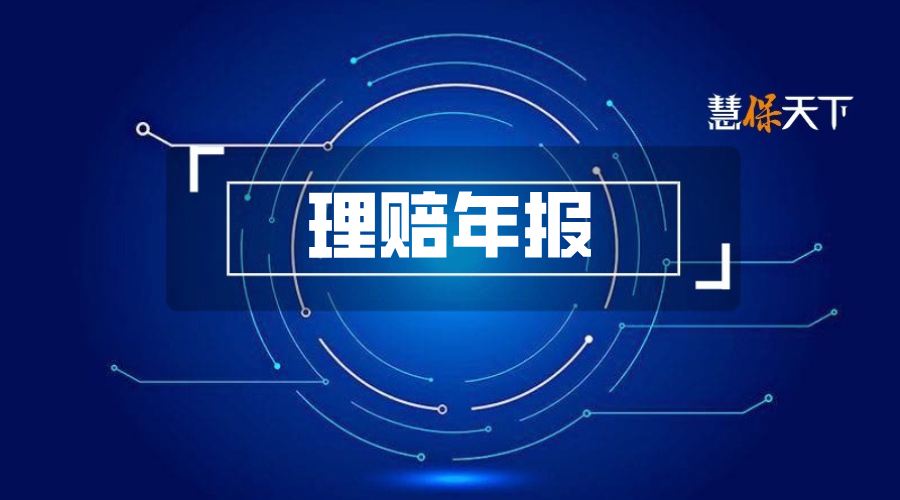<b>解读理赔年报：大地保险300亿赔付背后的价值坚守与创新突破</b>