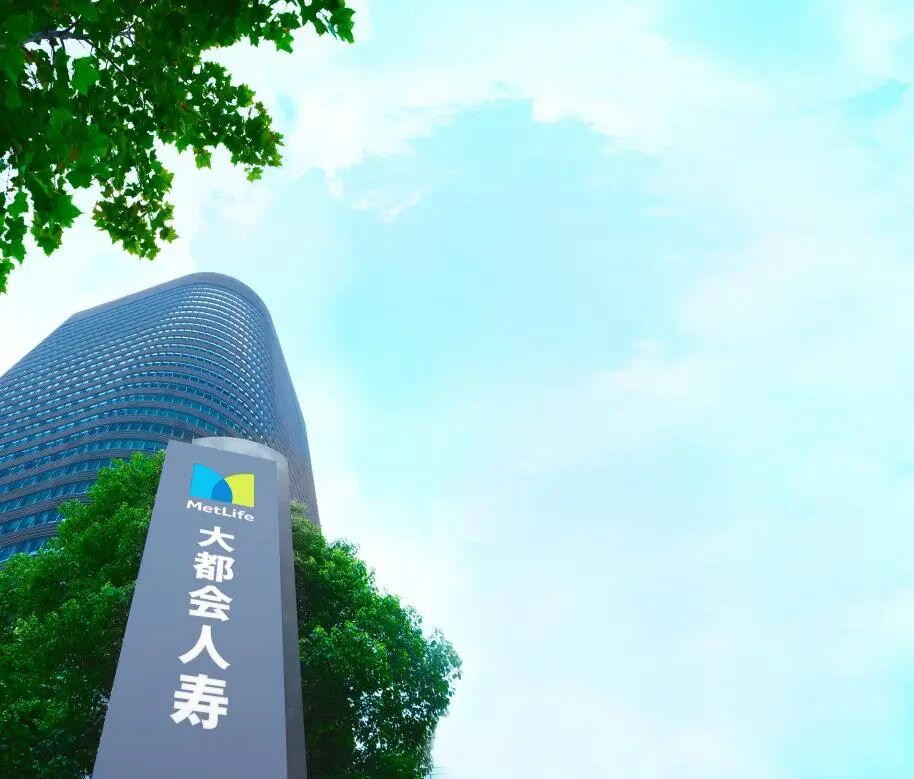 “十五五”规划领航 从大都会人寿2025年报看合外资险