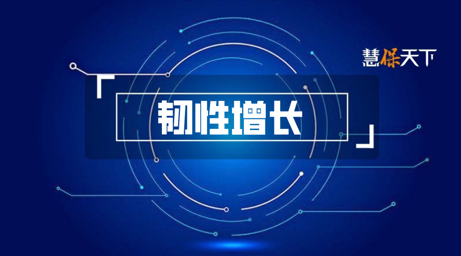 一家外资险企的韧性增长密码